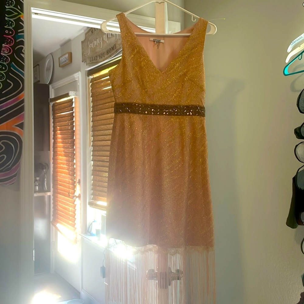 Stunning light pink with fringe flapper era style dress with gold highlights.